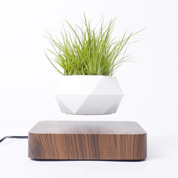 Magnetic Levitating Plant Pot For Bonsai, Real & Fake Plants