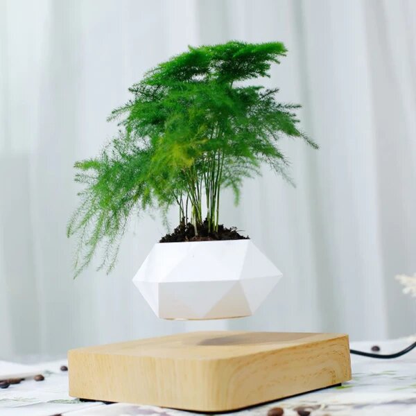 Magnetic Levitating Plant Pot For Bonsai, Real & Fake Plants