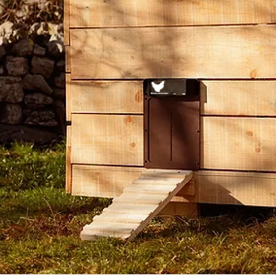 Automatic Chicken Coop Door with Light Sensing