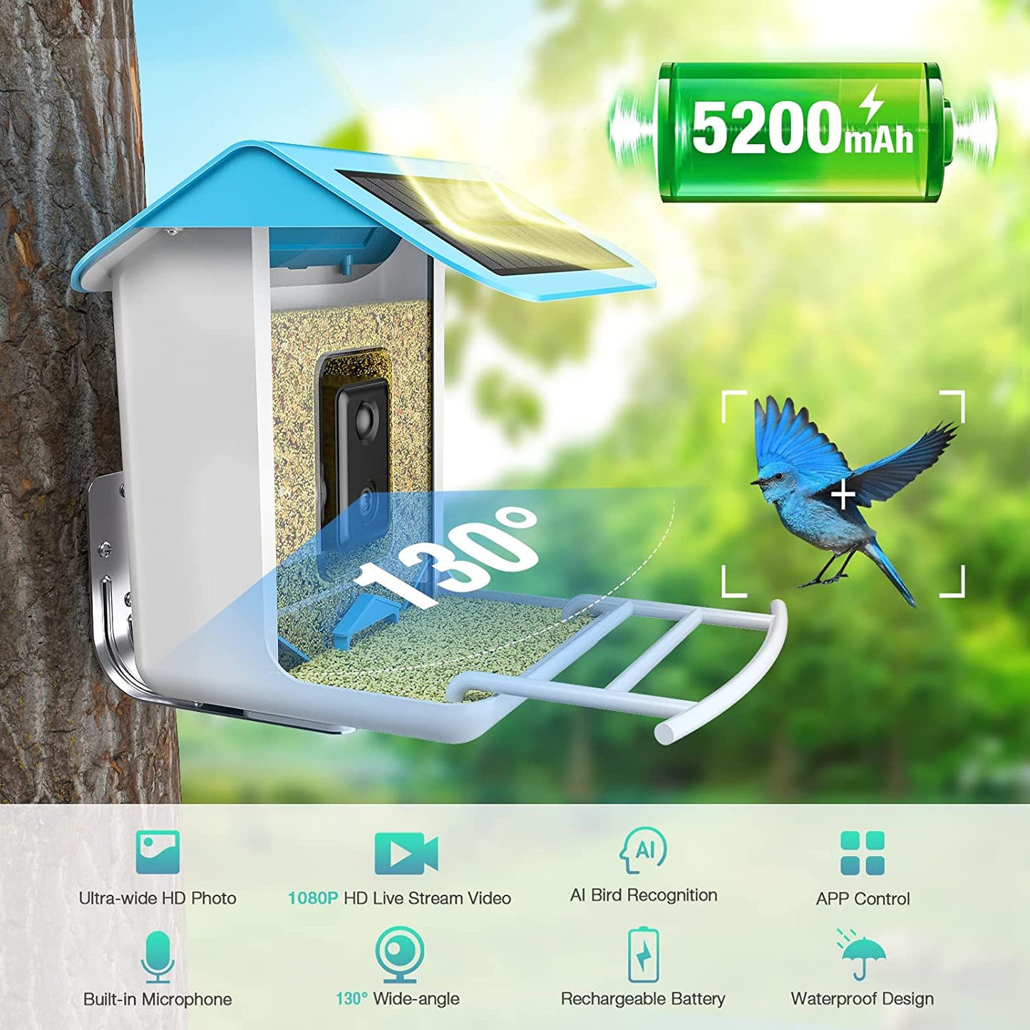 AI-Powered WIFI Smart Bird Feeder Camera