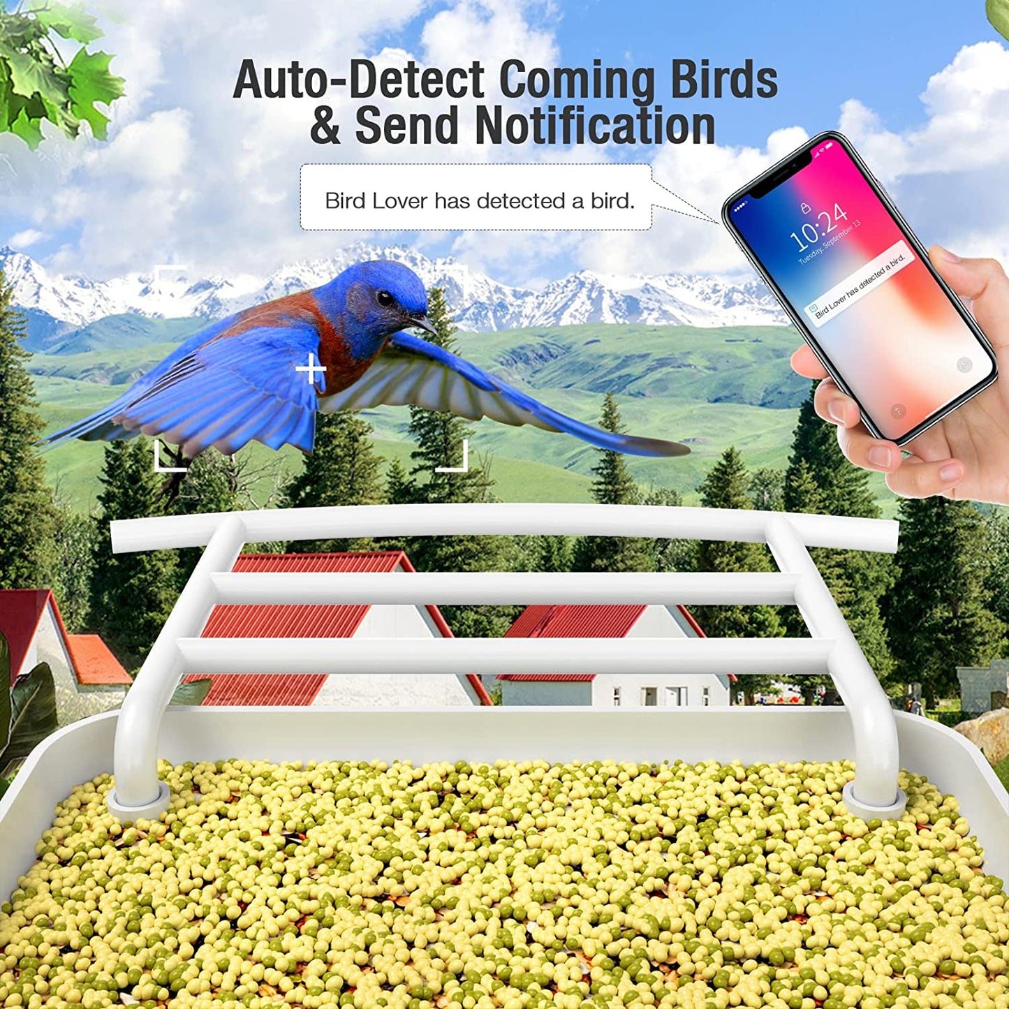 AI-Powered WIFI Smart Bird Feeder Camera